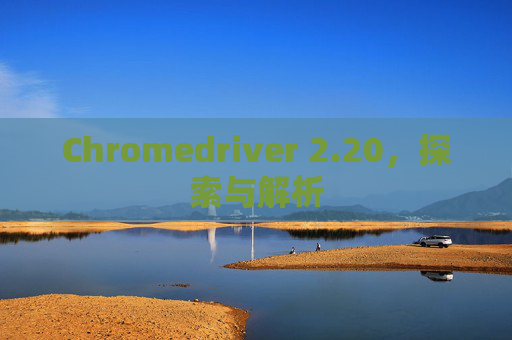 Chromedriver 2.20，探索与解析