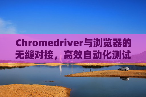 Chromedriver与浏览器的无缝对接，高效自动化测试的利器